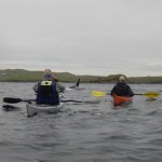 Paddling with Orcas